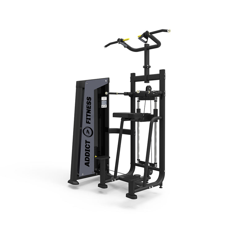 Dip/Chin Assist selectorized machine