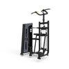 Dip/Chin Assist selectorized machine