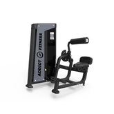 Back Extension selectorized machine