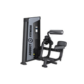 Abdominal/Back Extension V2 selectorized machine