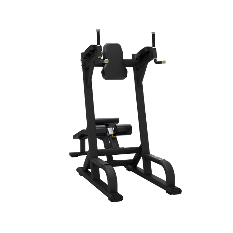 Abdominal & Knee Up/Dip Machine