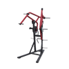 Plate Loaded Standing Decline Press